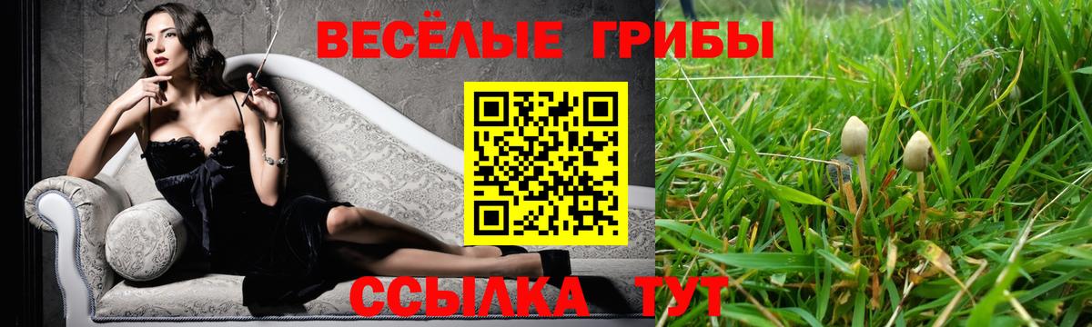 Псилоцибиновые грибы прущие грибы Борисоглебск